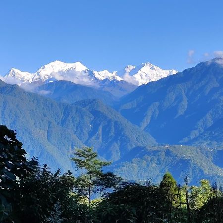 Wake In Himalayas Hostel Pelling Exterior photo